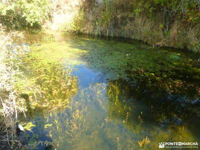 Valle Hermoso - Pinar del Espaldar; mirador de la sierra parque peneda geres cima significado ruinas